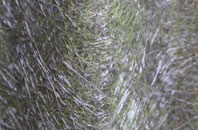 Stanghow fibreglass roof work